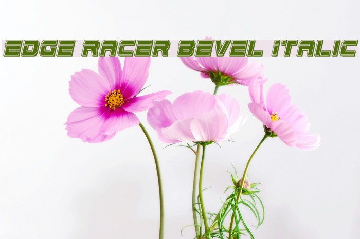 Edge Racer Bevel Italic Font examples