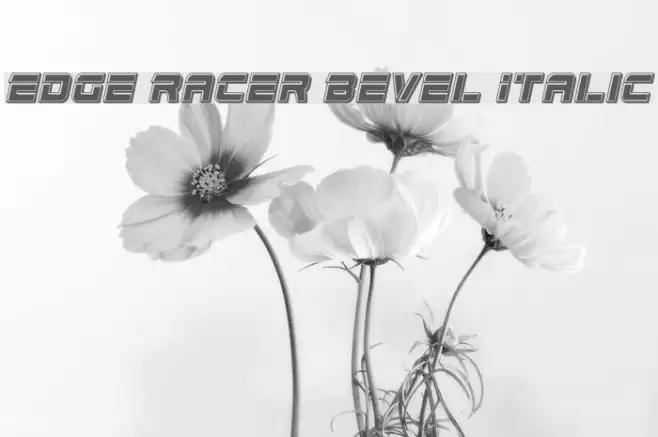 Edge Racer Bevel Italic Example 3