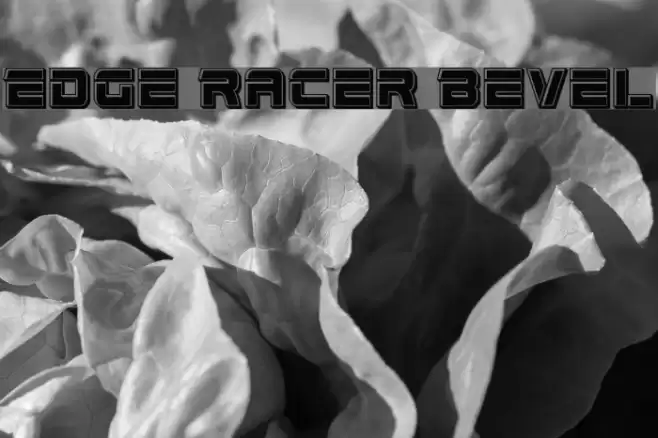 Edge Racer Bevel Font examples