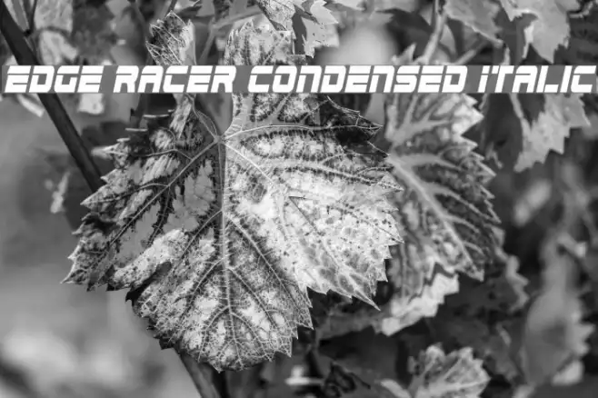 Edge Racer Condensed Italic Example 2