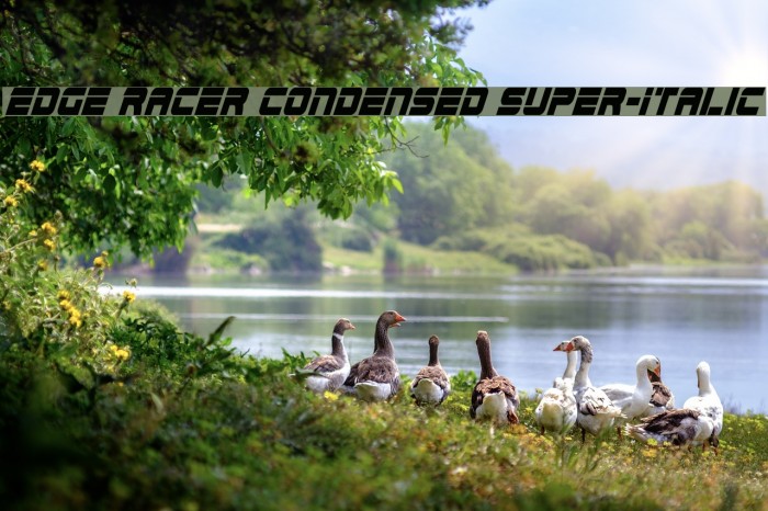 Edge Racer Condensed Super-Italic Font examples