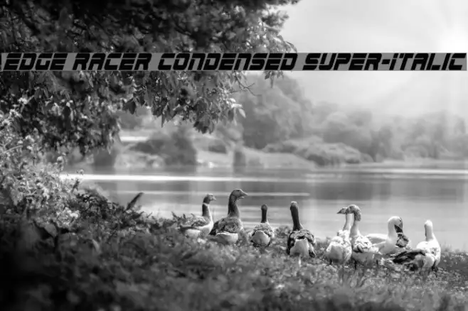 Edge Racer Condensed Super-Italic Example 1