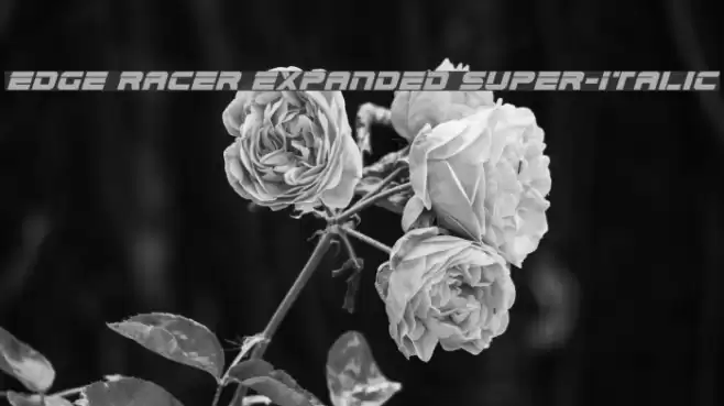Edge Racer Expanded Super-Italic Font examples