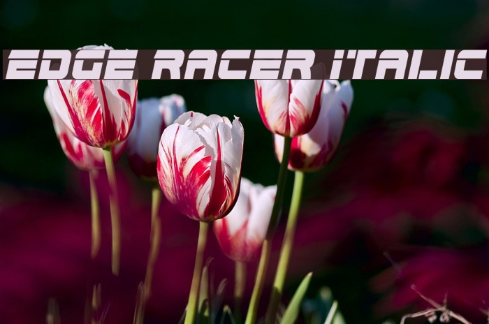 Edge Racer Italic Font examples