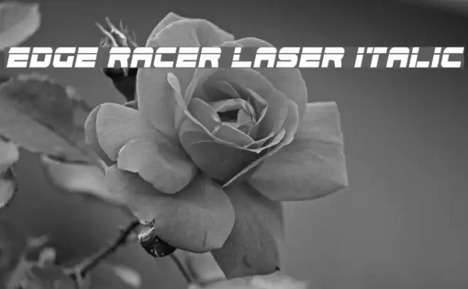 Edge Racer Laser Italic Example 3