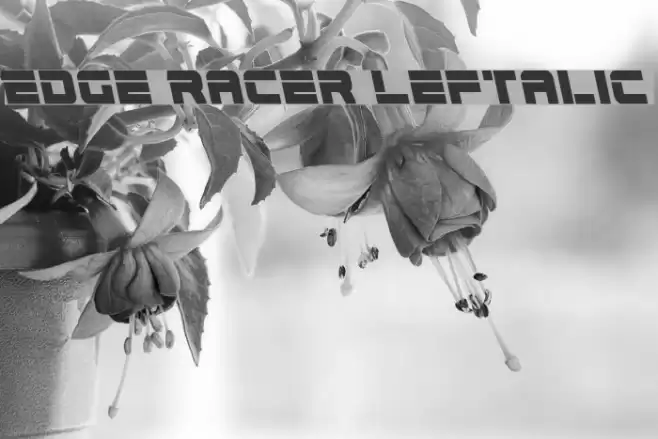 Edge Racer Leftalic Font examples