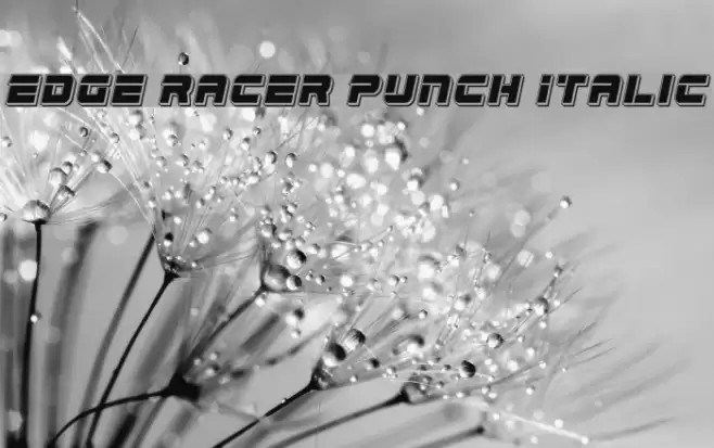 Edge Racer Punch Italic Font examples