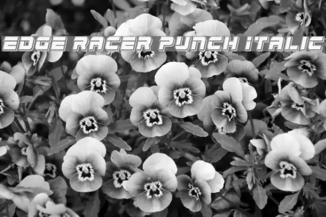 Edge Racer Punch Italic Font examples