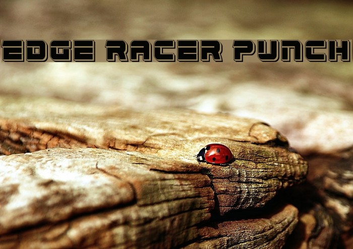 Edge Racer Punch Font examples