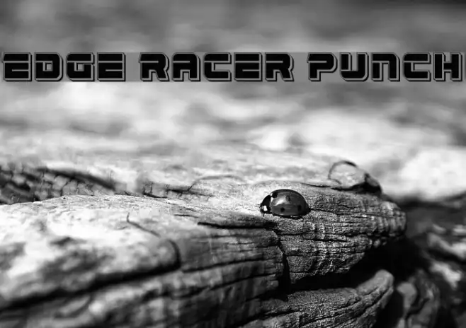 Edge Racer Punch Example 1
