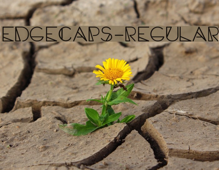 EdgeCaps-Regular Font examples