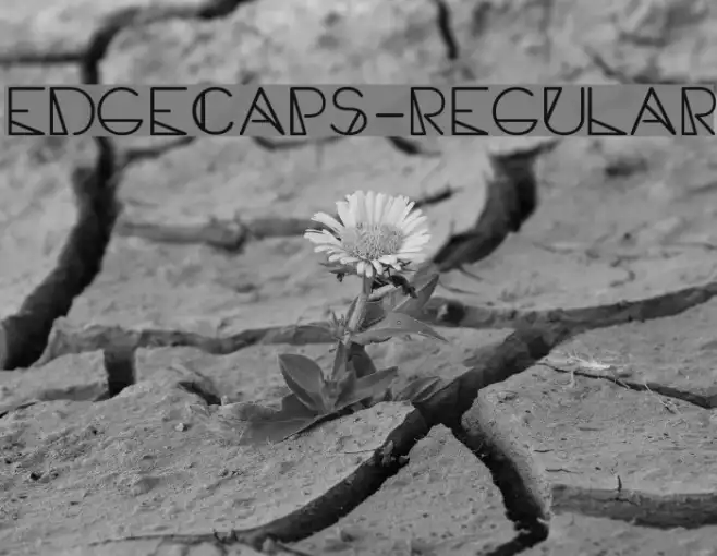 EdgeCaps-Regular Example 2