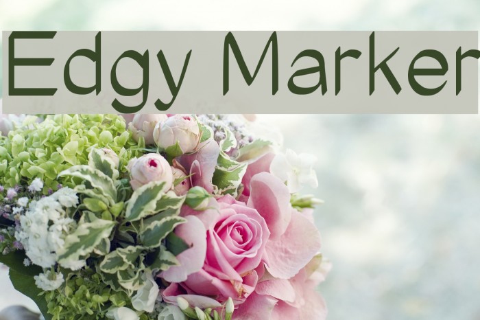 Edgy Marker Font examples