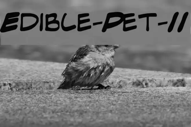 Edible-Pet-II Example 2