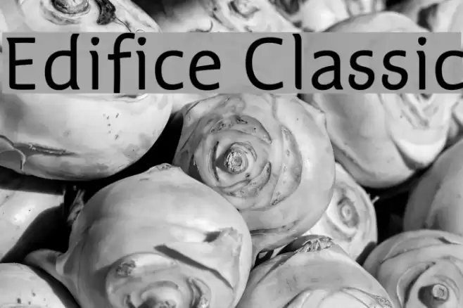 Edifice Classic Font examples