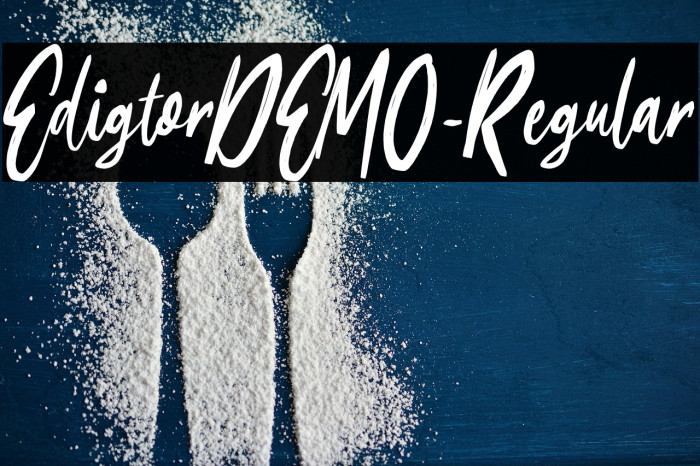 EdigtorDEMO-Regular Example 1
