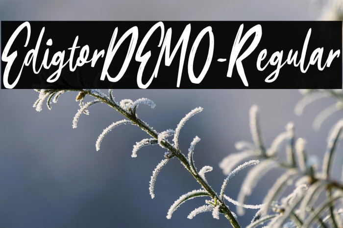 EdigtorDEMO-Regular Example 2