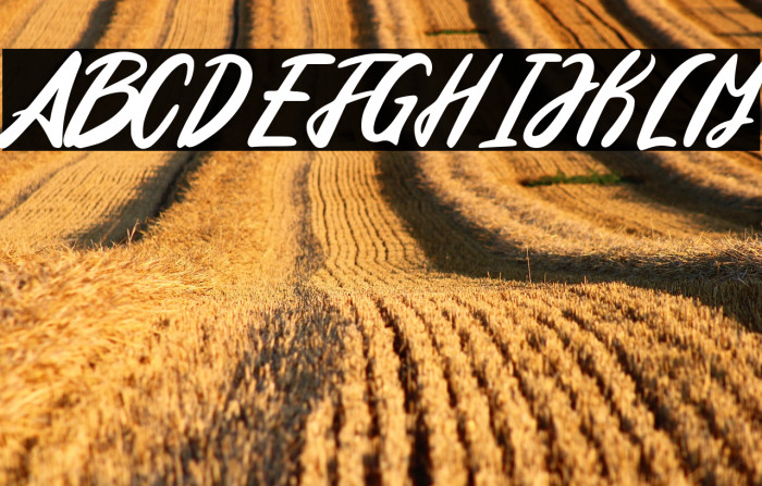 Edinburg Regular Example 1