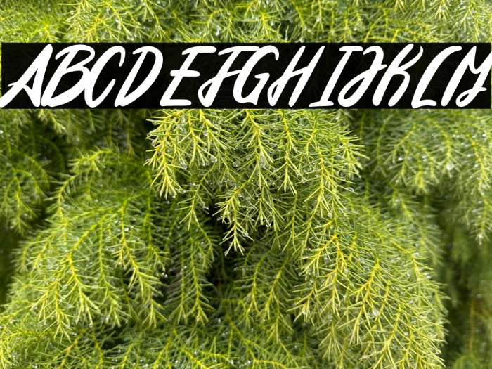 Edinburg Regular Example 2