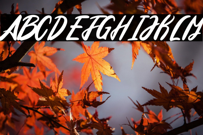 Edinburg Regular Example 3