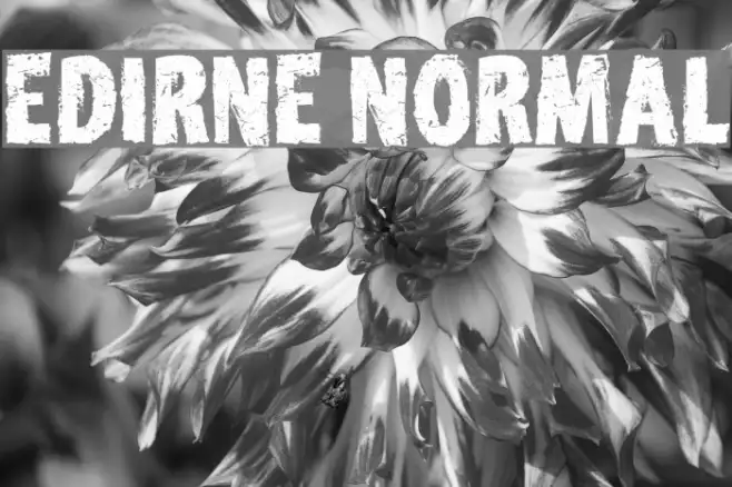 Edirne Normal Example 1