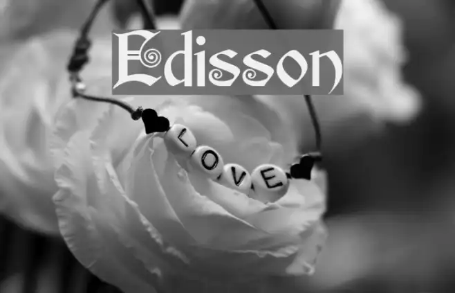 Edisson Example 1