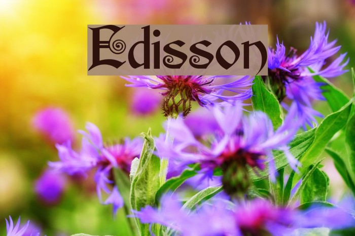 Edisson Font examples