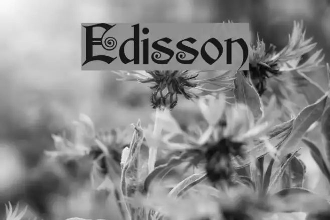 Edisson Example 2