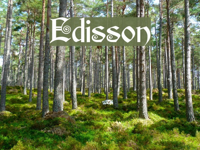 Edisson Font examples