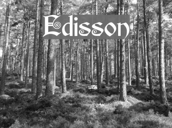 Edisson Example 3