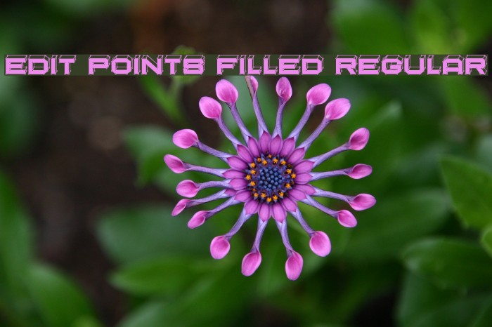 Edit Points Filled Regular Font examples