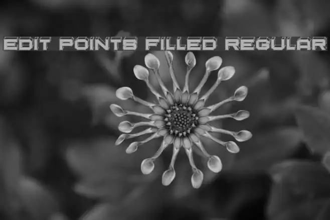Edit Points Filled Regular Example 2