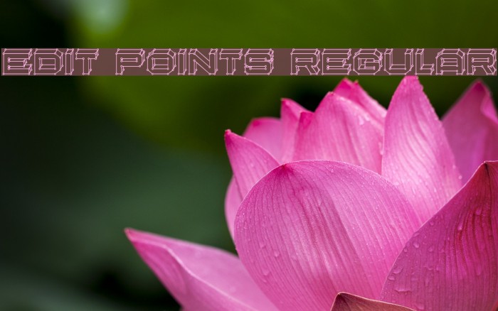 Edit Points Regular Font examples
