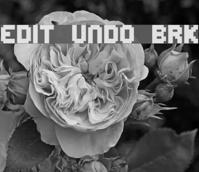 Edit Undo BRK फ़ॉन्ट examples
