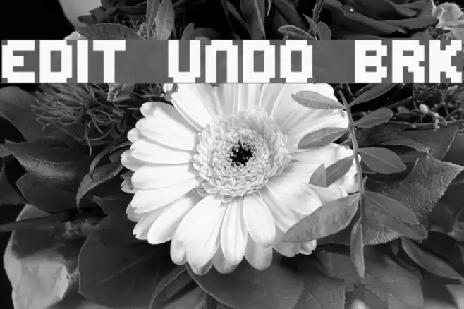 Edit Undo BRK फ़ॉन्ट examples