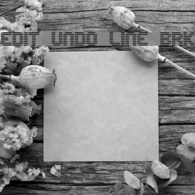 Edit Undo Line BRK Font examples