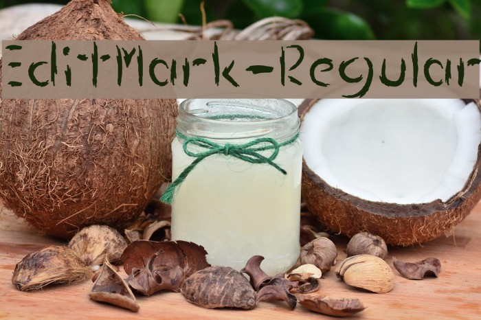 EditMark-Regular Example 1