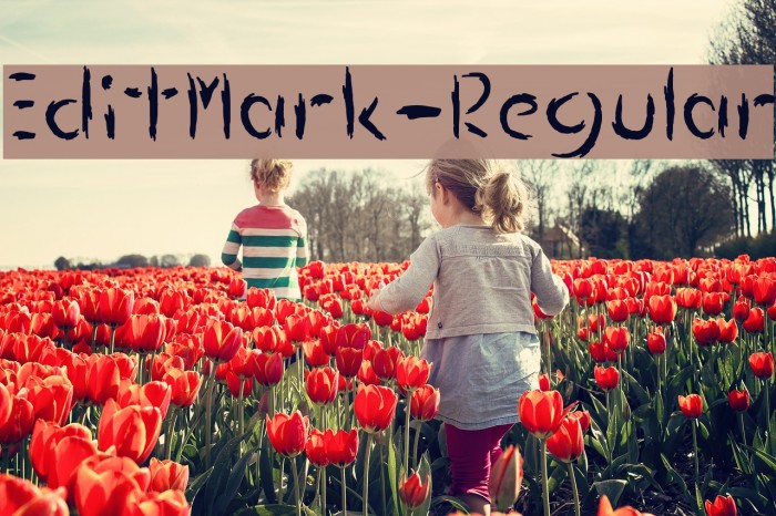 EditMark-Regular Example 2