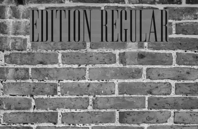 Edition Regular Font examples