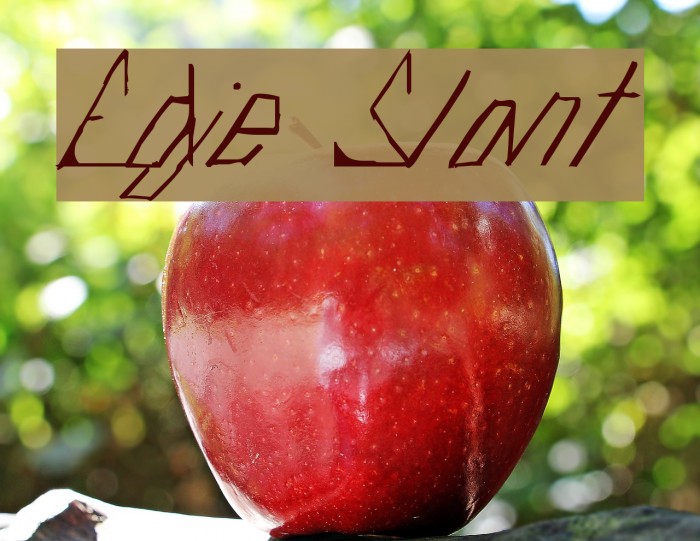 Edje Slant Font examples