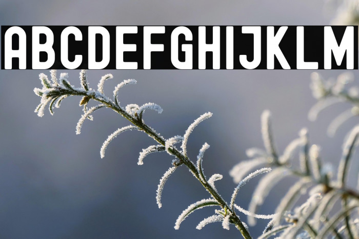 Edmund-Free Example 1