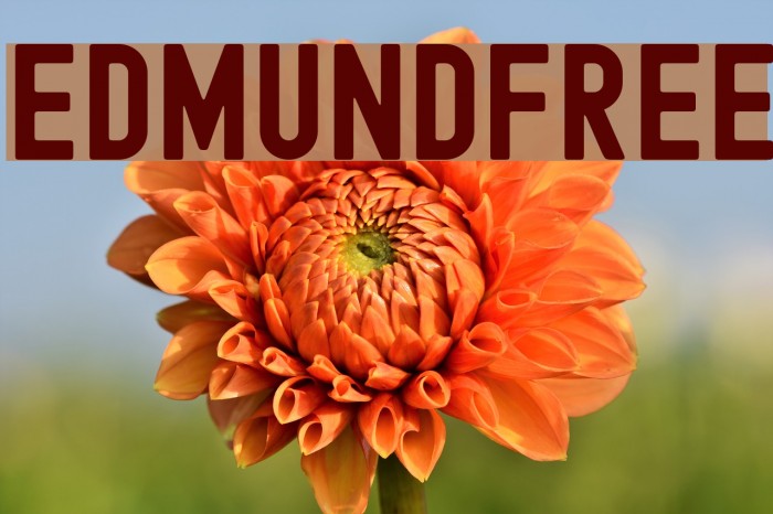 Edmund-Free Font examples
