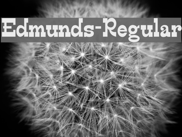 Edmunds-Regular Font examples