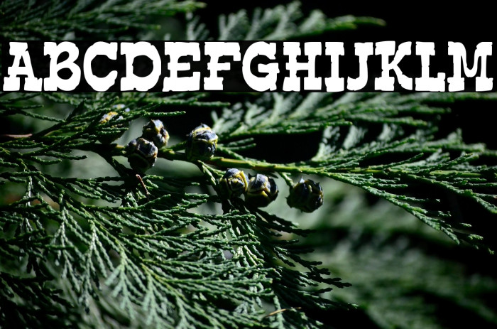 EdmundsDistressed-Regular Example 2