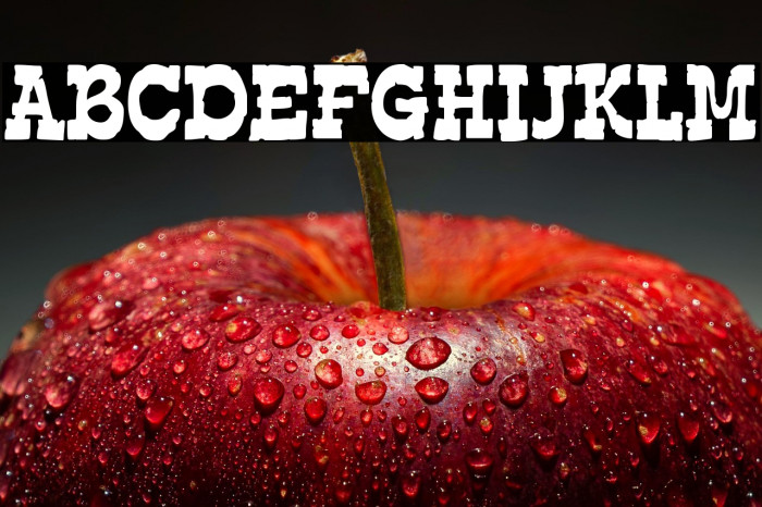 EdmundsDistressed-Regular Example 3