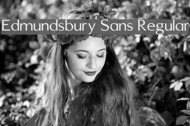 Edmundsbury Sans Regular Font examples