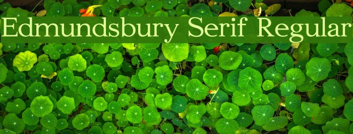 Edmundsbury Serif Regular Font examples