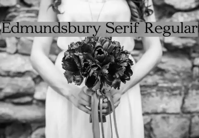 Edmundsbury Serif Regular Font examples