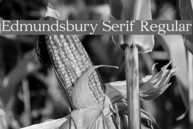 Edmundsbury Serif Regular Font examples