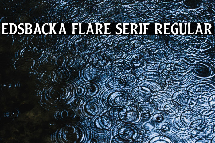 Edsbacka Flare Serif Regular Example 2